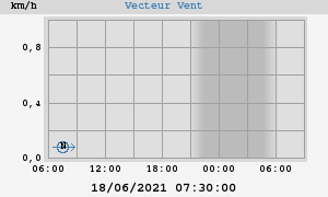 Wind Vector