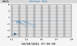 Wind Vector