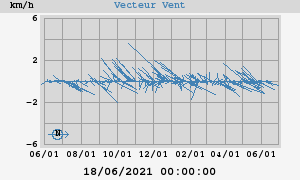 Wind Vector